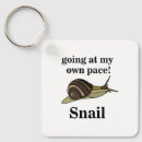 Search for snail shell keychains Molluscs