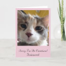 Recherche de emo vœux cartes Chat
