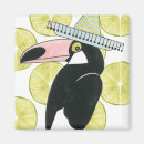 Search for toucan magnets Bird