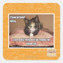 Recherche de concerns Je peux avoir cheezburger