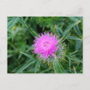 Search for featured postcards Green