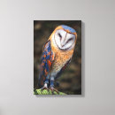 Search for barn owl posters Heart