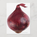 Recherche de oignon rouge posters Plan studio