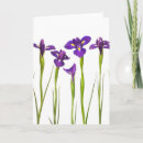 Search for isolated cards Flower