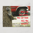 Search for funny squirrel jokes Nuts