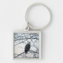 Search for eagle feather keychains Wildlife