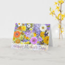 Search for osteospermum cards Daisies