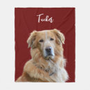 Recherche de golden retriever blankets Animaux