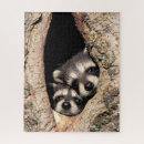 Search for raccoon puzzles Animals