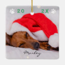 Search for bright ornaments Dog