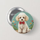 Recherche de chien papillon badges Chiot