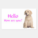 Search for labrador retriever puppy stickers Dog