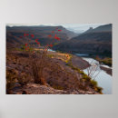 Search for rio posters Big bend national park