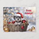 Search for schnauzer puppy postcards Puppies