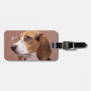 Search for office travel accessories Animal