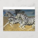 Search for zebra lovers postcards Wildlife