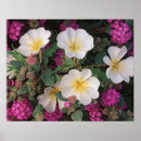 Recherche de fleur désertique posters Feuillage