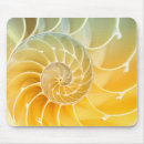 Recherche de nautilus tapis souris Coquille