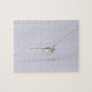 Search for snowy owl puzzles Arctic