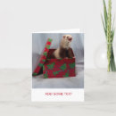 Search for ferret christmas cards Pets
