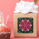 Recherche de dahlia rouge autocollants Botanique
