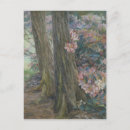 Recherche de buisson cartes postales Vintage