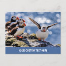 Search for puffin postcards Nature