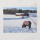Search for snow covered fields Nature