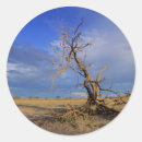 Search for barren stickers Arid