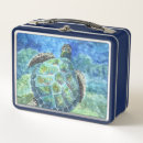 Search for sea turtle lunch boxes Tortoise