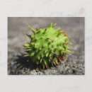 Search for iphone postcards Green