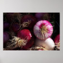 Search for red onion posters Cooking