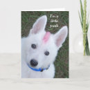 Search for punks cards For her