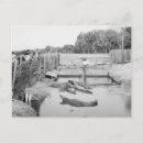 Recherche de 1904 cartes postales Historique