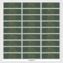 Recherche de laser vert autocollants Noms d'invités