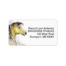 Search for stable labels Farm