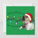 Search for lol christmas cards Funny
