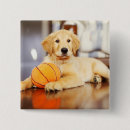 Recherche de jouet badges Animal