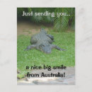 Recherche de le crocodile cartes postales Drôle