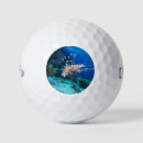 Search for fish golf balls Sea life