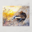 Search for emerging postcards Nature