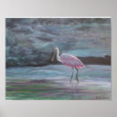 Search for roseate spoonbill posters Florida