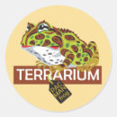Search for pac man Frog