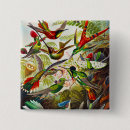 Search for ernst buttons Hummingbird