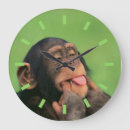 Search for chimpanzees clocks Primates