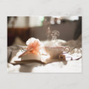 Recherche de apaisant cartes postales Calme