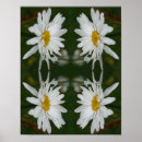 Search for daisy posters Pattern