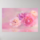 Search for carnation posters Botanical