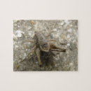 Search for cricket puzzles Animals