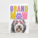 Search for bearded collie Pets